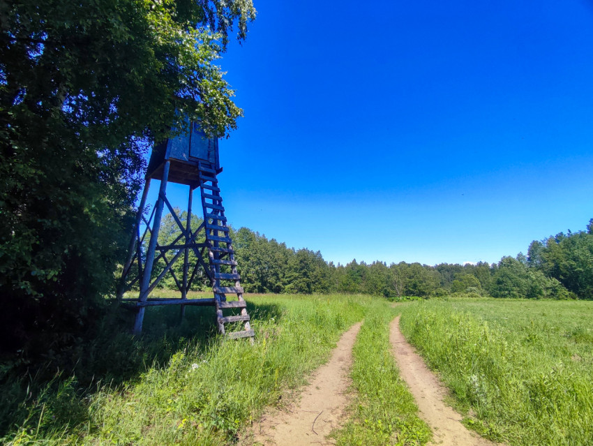 Охотничья вышка у грунтовой дороги на лугу