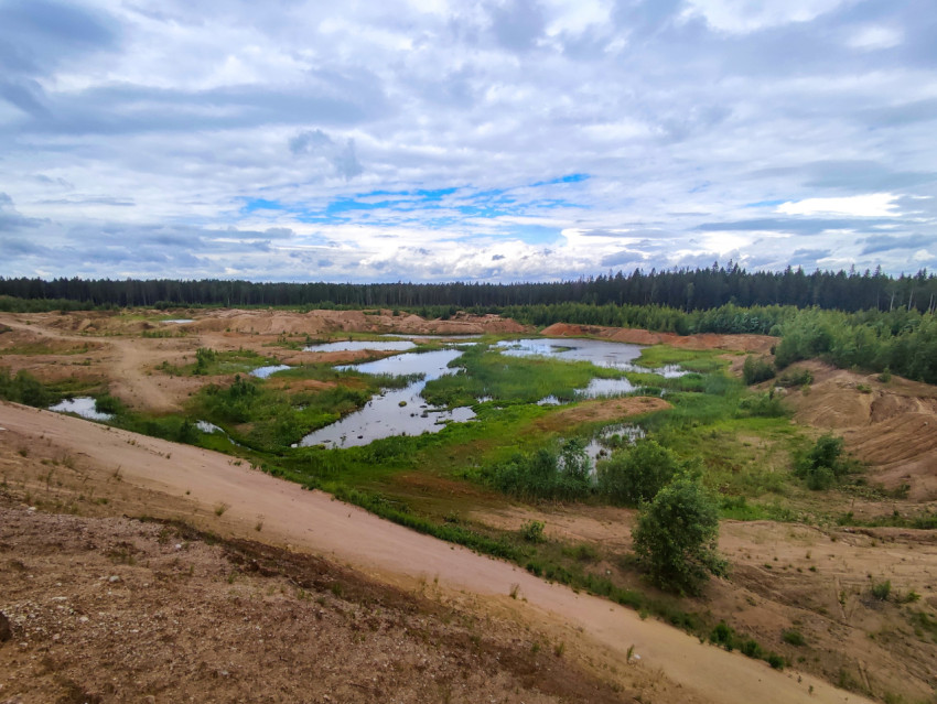 Панорама песчаной выработки с цепочкой озёр и заболоченных протоков