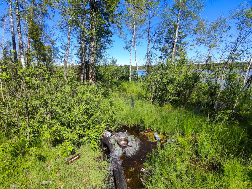Лужа с бытовым мусором на прибрежной поляне у озера