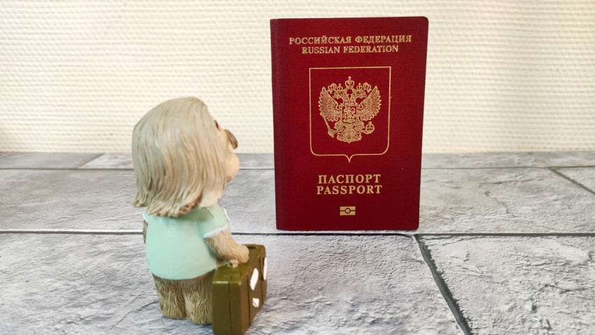 Фигурка ленивца с чемоданом на фоне российского загранпаспорта