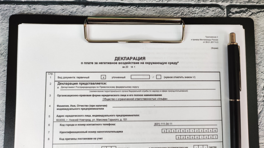 Верхняя часть формы декларации о воздействии на окружающую среду