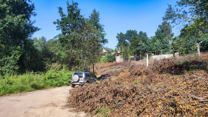 Участок дороги с деревьями, сухой травой и автомобилем