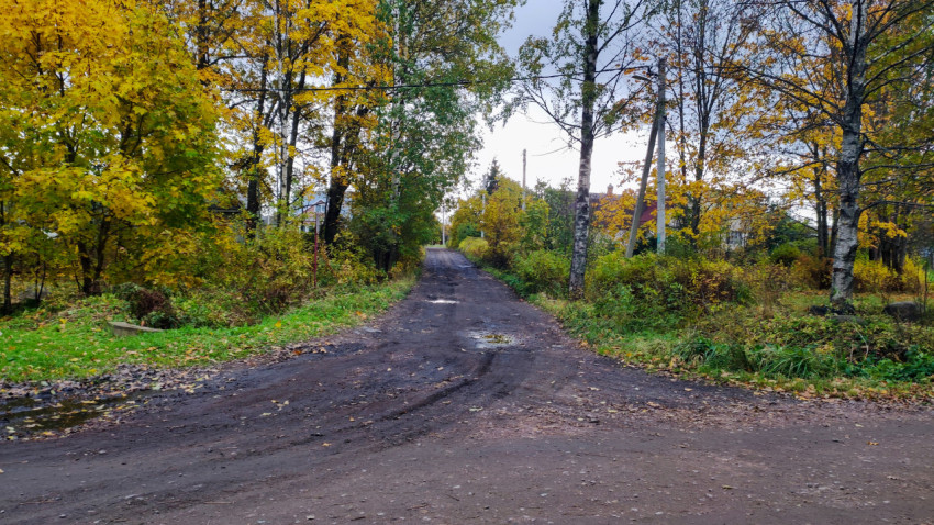 Просёлочная дорога с лужами после дождя в деревне