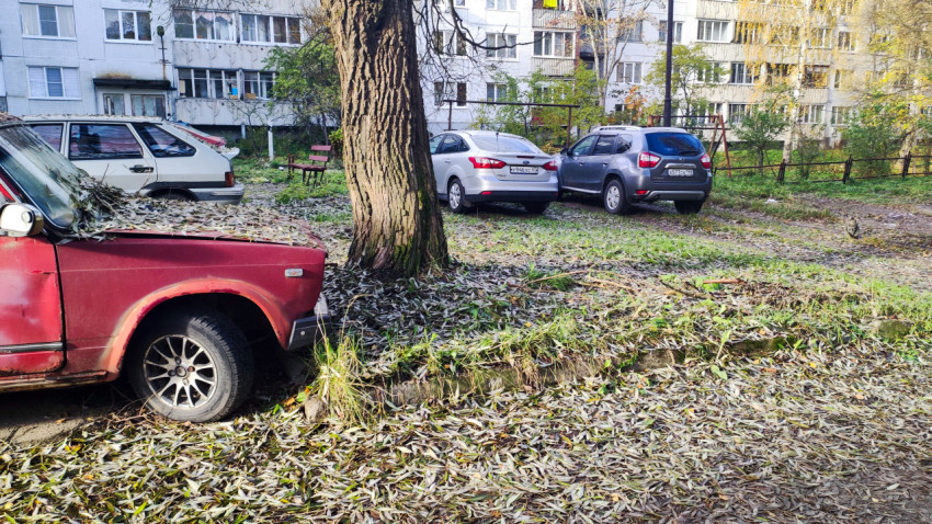 Автомобиль и двор многоквартирного дома