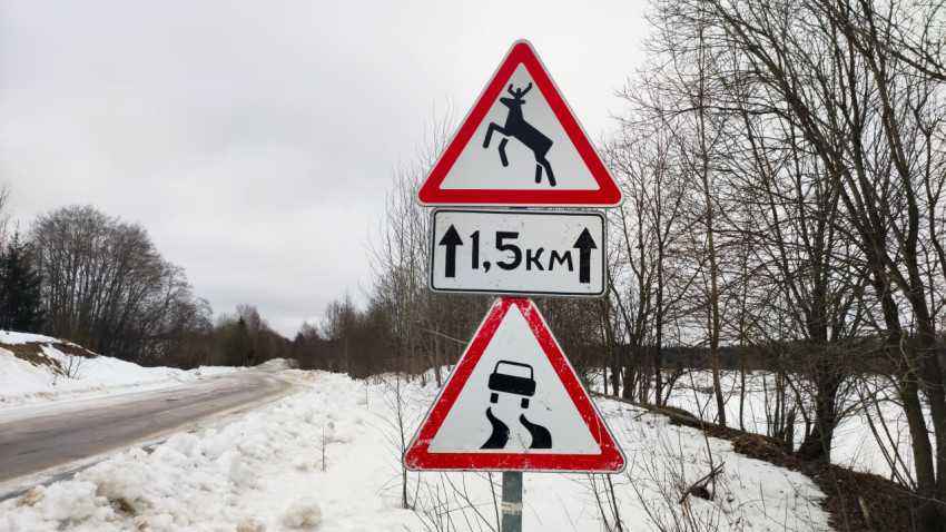 Знаки «Дикие животные» и «Скользкая дорога» у заснеженной обочины