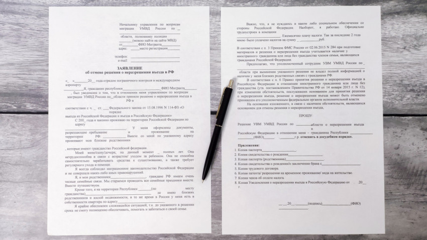 Заявление об отмене решения о неразрешении въезда в РФ с ручкой