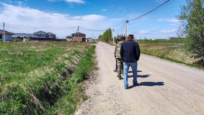 Прогулка в солнечный день по проселочной дороге