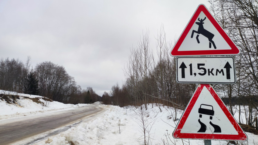 Дорожные знаки «Дикие животные» и «Скользкая дорога» зимой