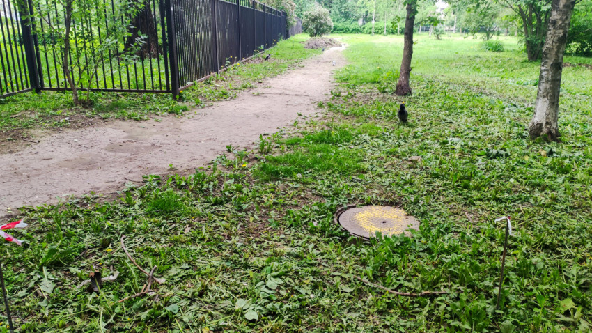 Грунтовая тропа вдоль забора и люк инженерных сетей на зелёной территории