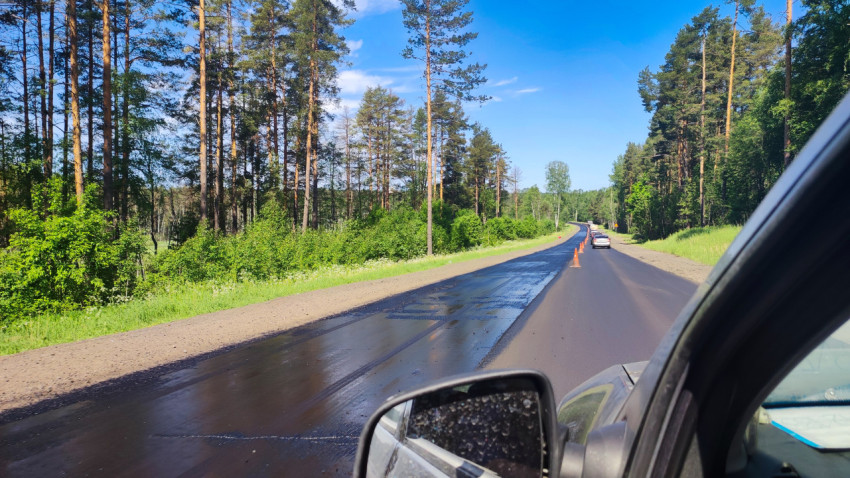 Автомобильная дорога с участком свежего асфальта и дорожными конусами среди соснового леса