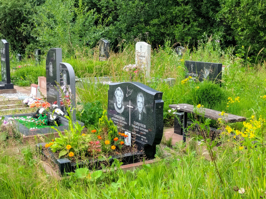 Участок кладбища с двойным памятником и лавкой среди высокой травы и кустарника