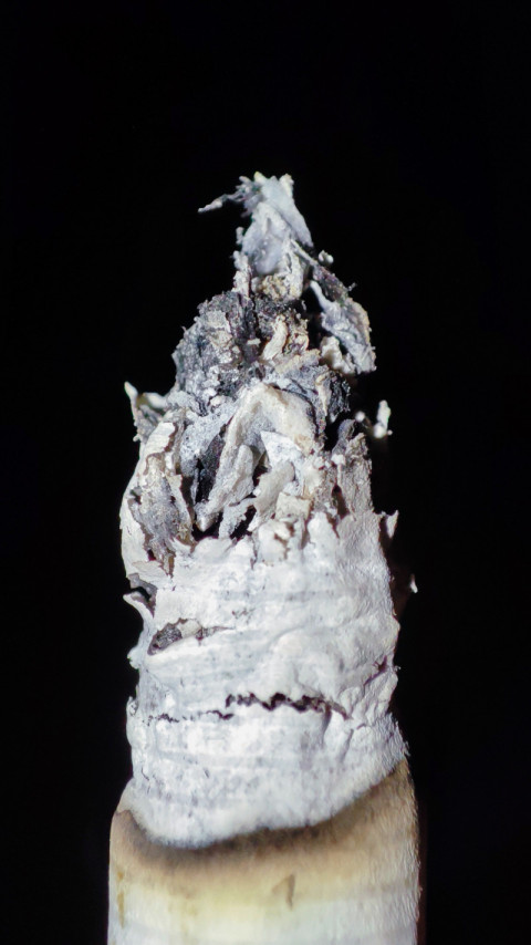 Пепел и зона тления сигареты в макросъёмке