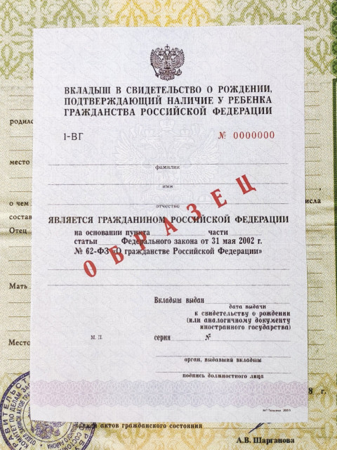 Вкладыш о гражданстве РФ крупным планом
