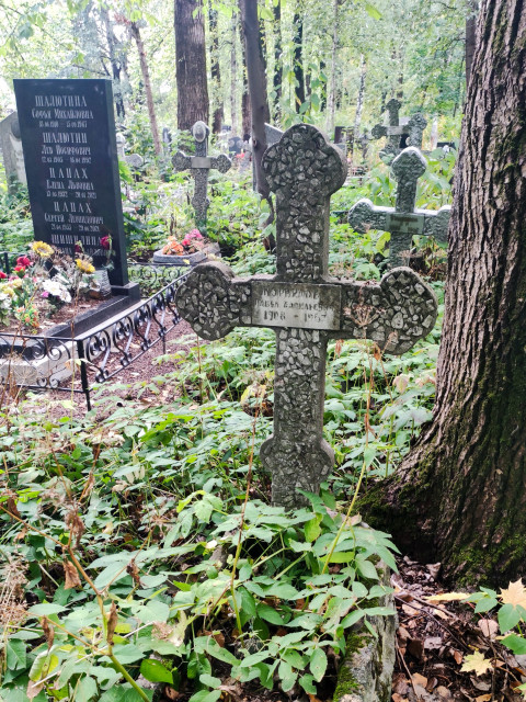 Старое надгробие на кладбище в окружении растительности