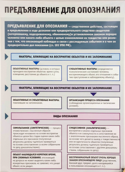 Плакат с описанием процедуры предъявления для опознания