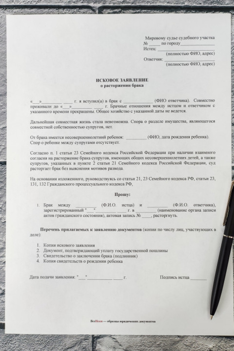 Исковое заявление о расторжении брака с перечнем документов крупным планом