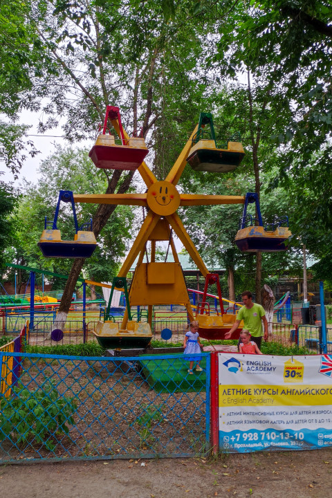 Колесо обозрения для детей под кронами деревьев в парке развлечений