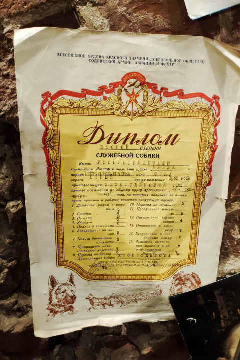 Диплом служебной собаки ДОСААФ СССР