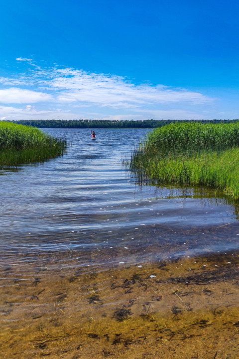 Чистая вода у берега озера с человеком на сапборде вдали