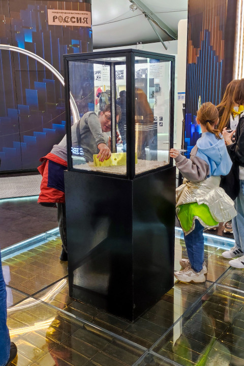 Интерактив с золотым слитком на стенде Минфина России на выставке «Россия»