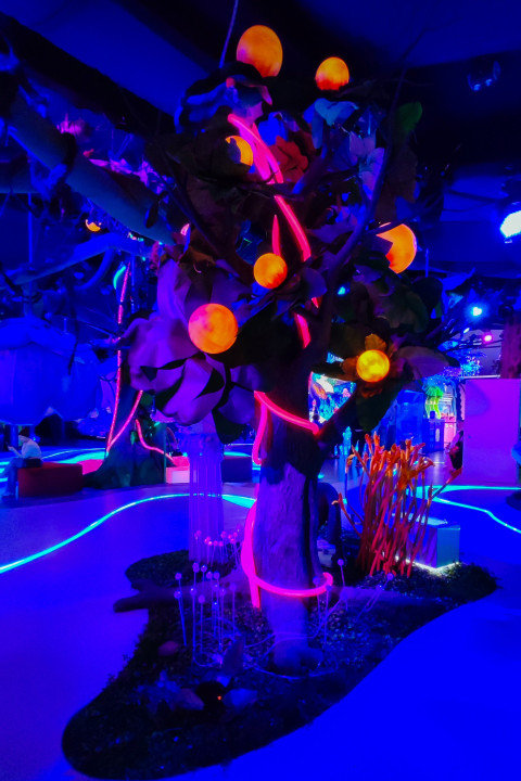 Декоративное дерево с подсветкой в тематической зоне выставки