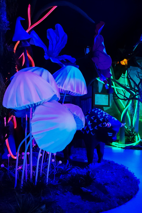 Декоративные грибы и фигура животного в подсвеченной зоне экспозиции