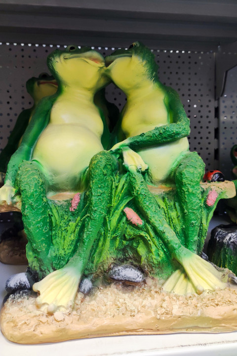 Парные декоративные лягушки на коряге в магазине садового декора