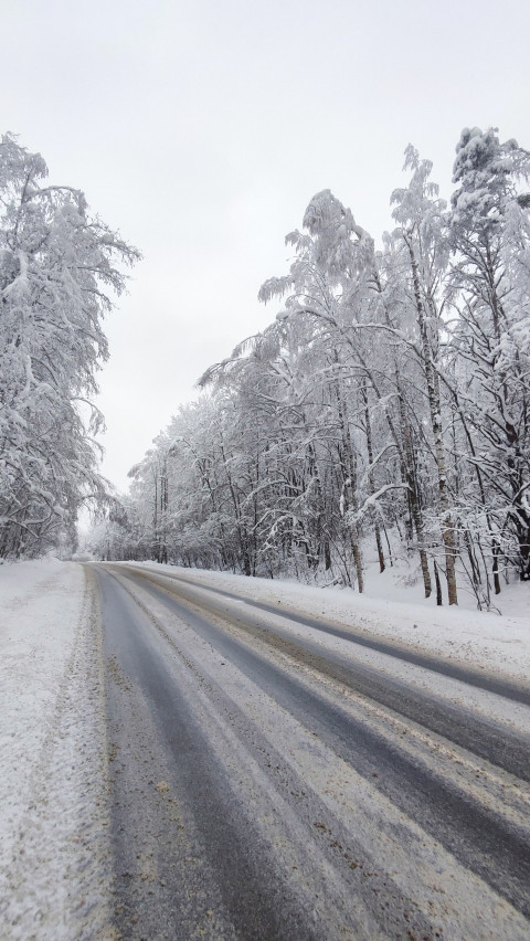 Прямая зимняя дорога, идущая вдоль заснеженного леса