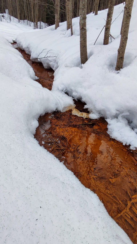 Лесной ручей с талой водой среди снежных берегов