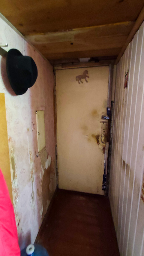 Прихожая с межкомнатной дверью и настенным крючком