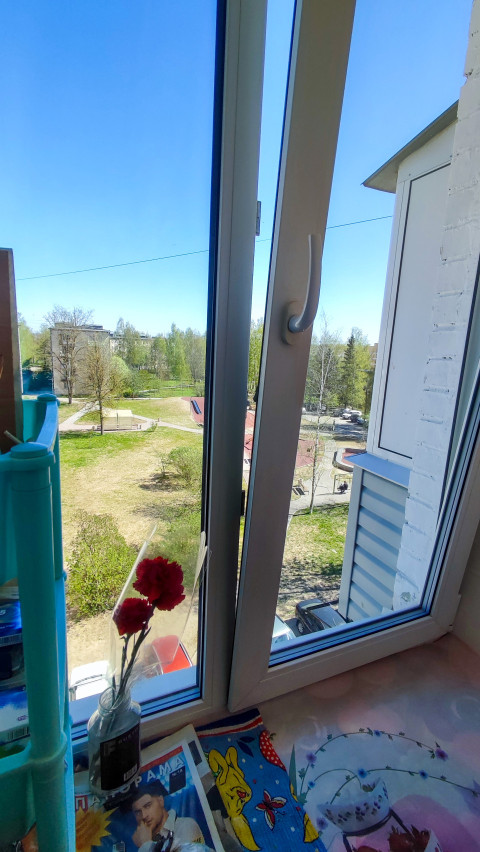 Окно с видом на двор и предметами на подоконнике