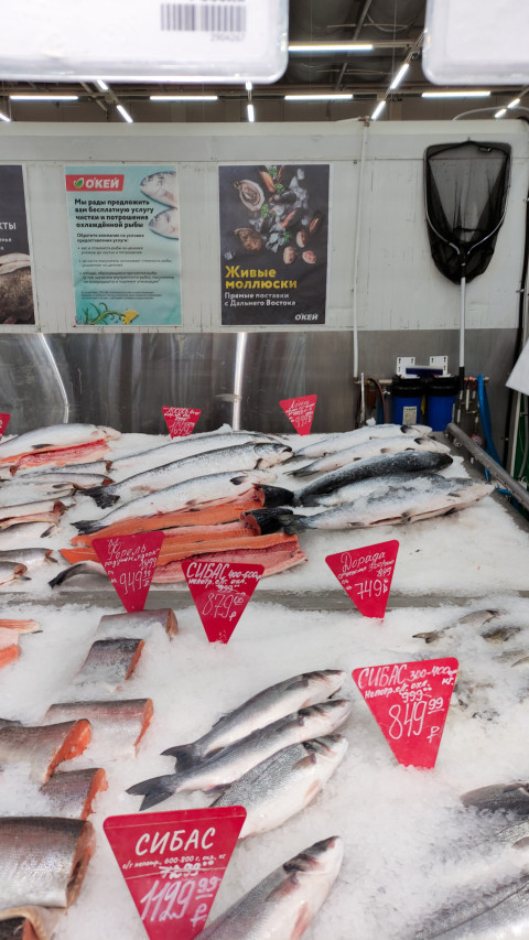 Торговая витрина с различными видами охлаждённой рыбы