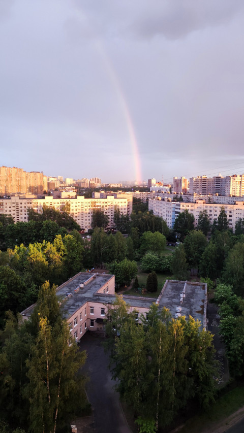 Радуга над кварталами и зелёной зоной