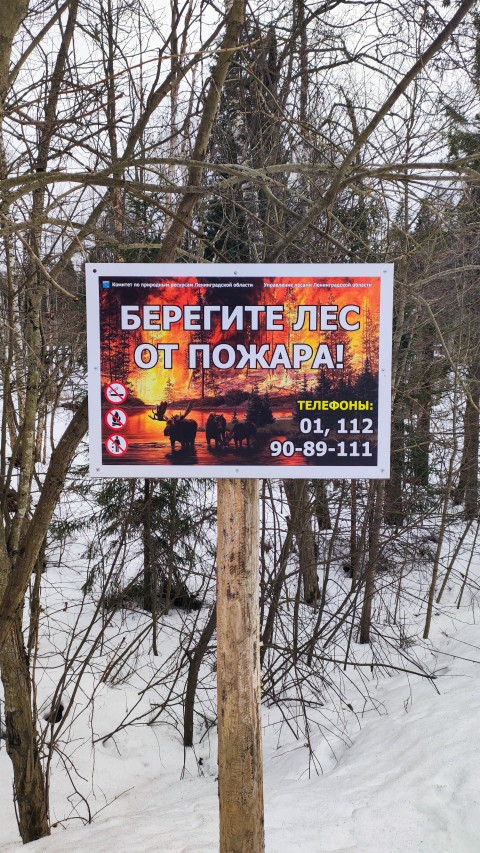 Экологический плакат о защите леса от пожаров зимой