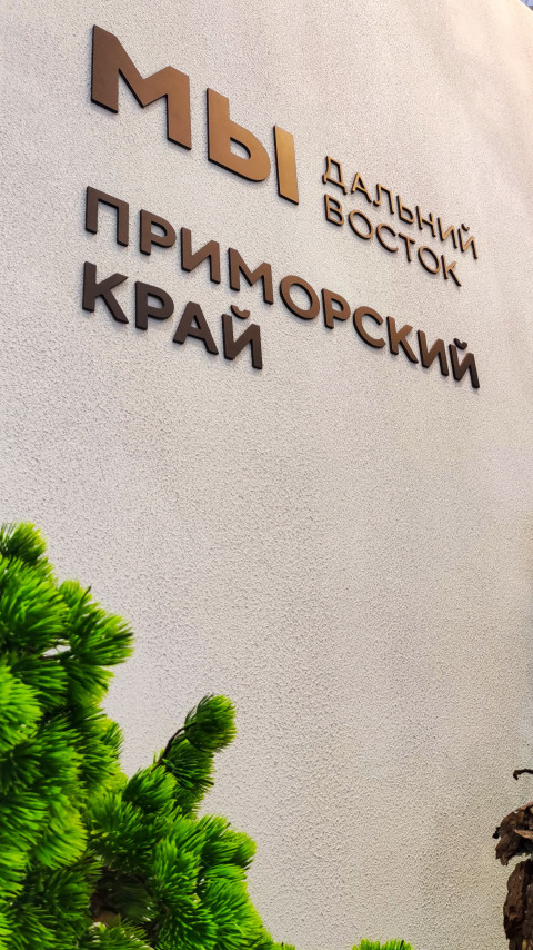 Большой знак «Приморский край» на стене