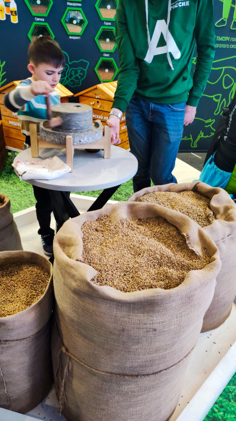 Мешки с зерном