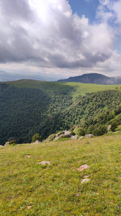 Пейзаж зеленых холмов и гор в ясный день