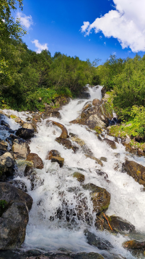 Водопад среди зелёных деревьев и ясного неба
