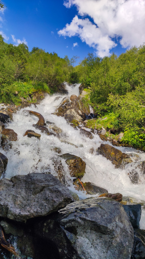 Вода с шумом несётся по каменистому руслу в горах