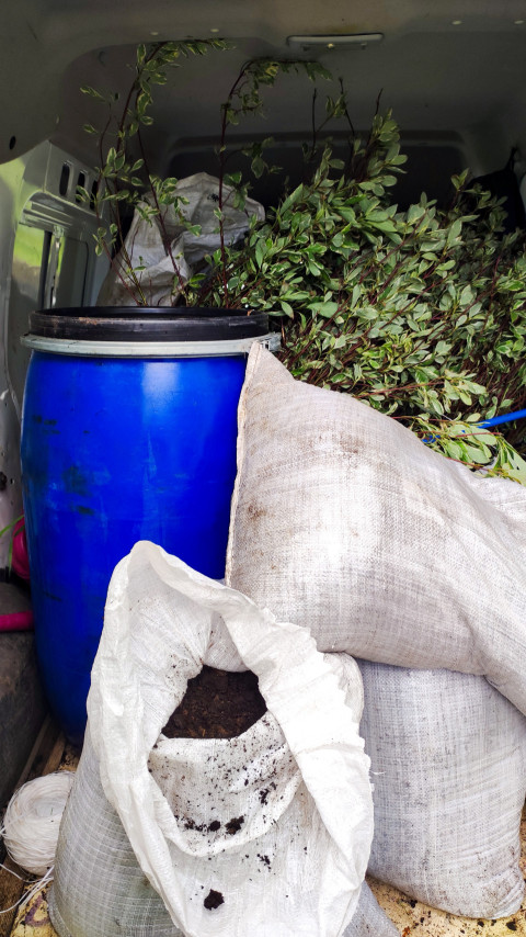 Саженцы и инвентарь для благоустройства в кузове автомобиля