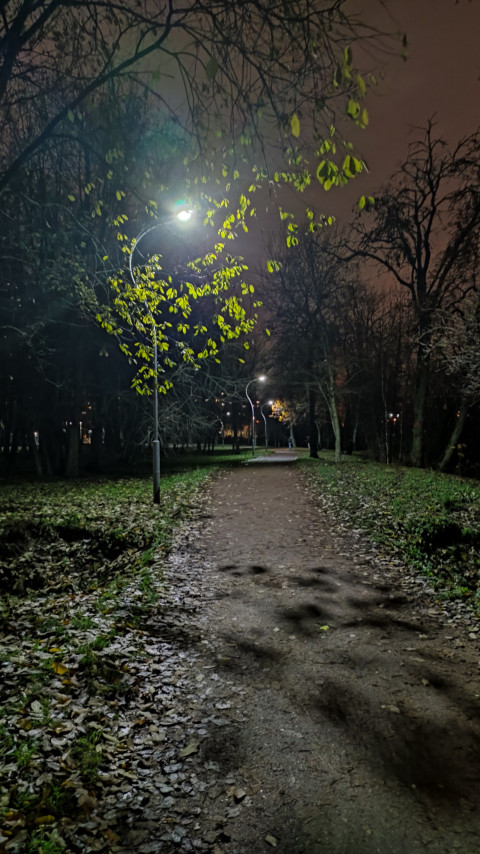 Освещённая аллея в городском парке ночью