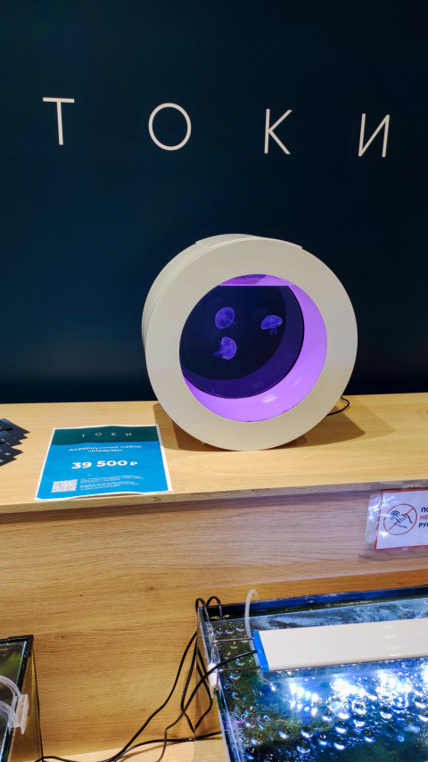 Аквариум с медузами в экспозиции Москвариума