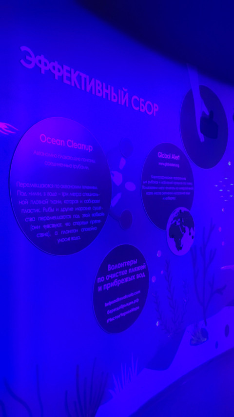 Экологический стенд «Эффективный сбор» в Москвариуме