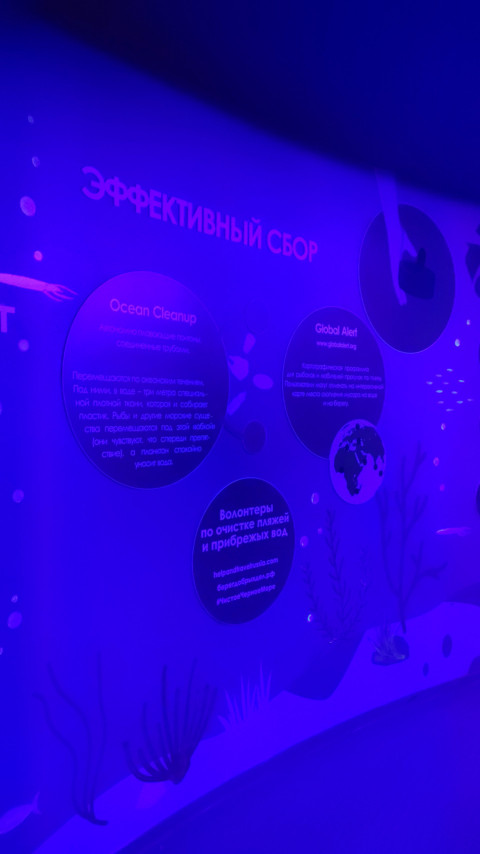 Информационная стена об экосистемах и программах очистки вод