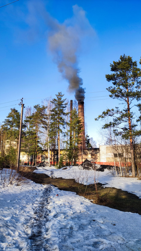 Промышленное предприятие с дымящей трубой на фоне леса