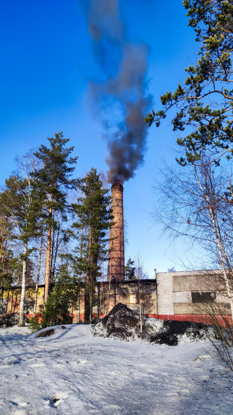 Дымящая труба промышленного здания среди зимнего леса