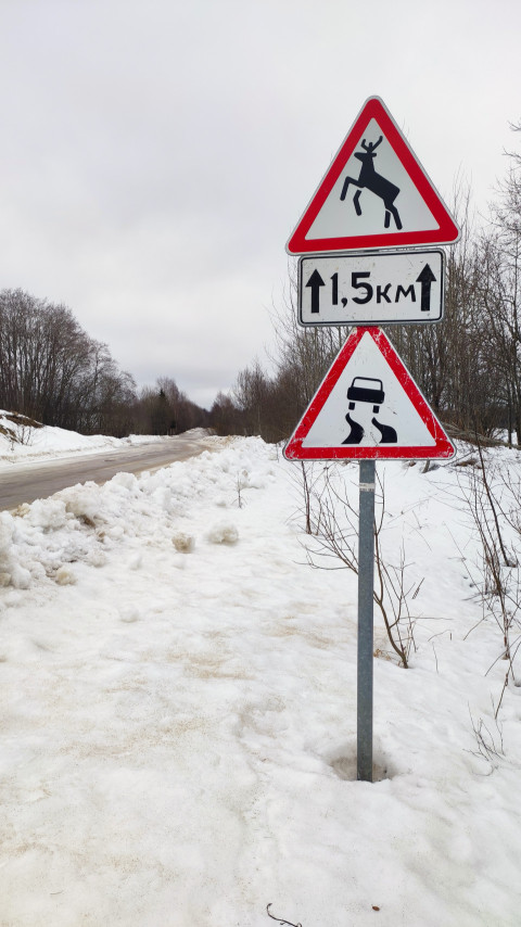 Предупреждающие дорожные знаки «Дикие животные» и «Скользкая дорога» на заснеженной трассе