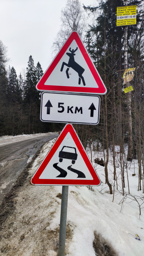 Знаки «Дикие животные» и «Скользкая дорога» на фоне зимнего леса