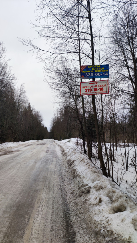 Рекламные щиты на дереве у загородной дороги зимой