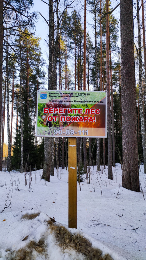 Предупреждающий щит о пожарной безопасности в лесу Ленинградской области